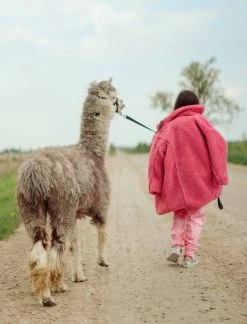 Hot Pink Crystal Teddy Coat -Lola + The Boys coat hot pink crystal teddy coat lola the boys 28236925829222