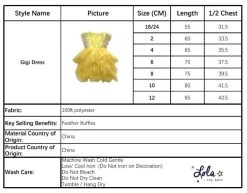 Gigi Dress -Lola + The Boys dress gigi dress lola the boys 29572344316006