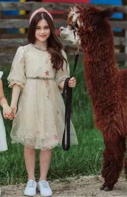 Golden Star Party Dress -Lola + The Boys dress golden star party dress lola the boys 28329986031718