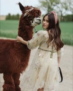 Golden Star Party Dress -Lola + The Boys dress golden star party dress lola the boys 28360247083110