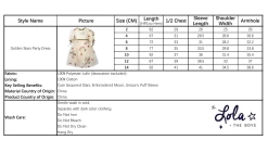 Golden Star Party Dress -Lola + The Boys dress golden star party dress lola the boys 28962905358438