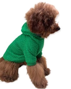 Fashionista Pup Emerald Hoodie -Lola + The Boys fashionista pup emerald hoodie lola the boys 28848632954982