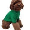 Fashionista Pup Emerald Hoodie 1 Fashionista Pup Emerald Hoodie -Lola + The Boys fashionista pup emerald hoodie lola the boys 28848633053286