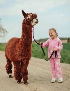 Fuzzy Flash Set -Lola + The Boys set fuzzy flash set lola the boys 28236934742118