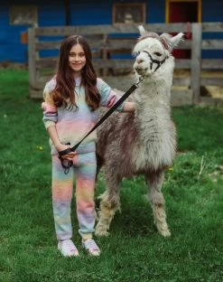 Sunset Knit Hoodie And Pants Set 16 Sunset Knit Hoodie And Pants Set -Lola + The Boys set sunset sweater hoodie and pant set lola the boys 28369649893478