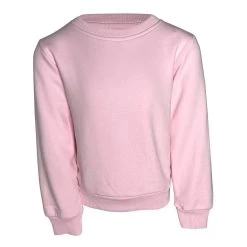 Sweet Angel Wing Sweatshirt -Lola + The Boys sweaters sweatshirts neon angel wing sweatshirt lola the boys 28580123508838